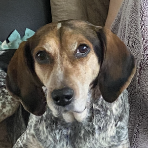 Fundraising Page: Ed Heffernan